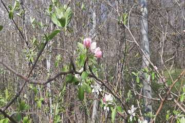 بهار دانشگاه 1399